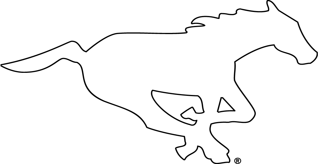 calgary stampeders 2012-pres alternate logo DTF transfer for t shirt